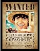 One Piece Live Action Monkey D. Luffy Wanted Poster Framed Poster (40cm x 30cm) (Multicoloured)