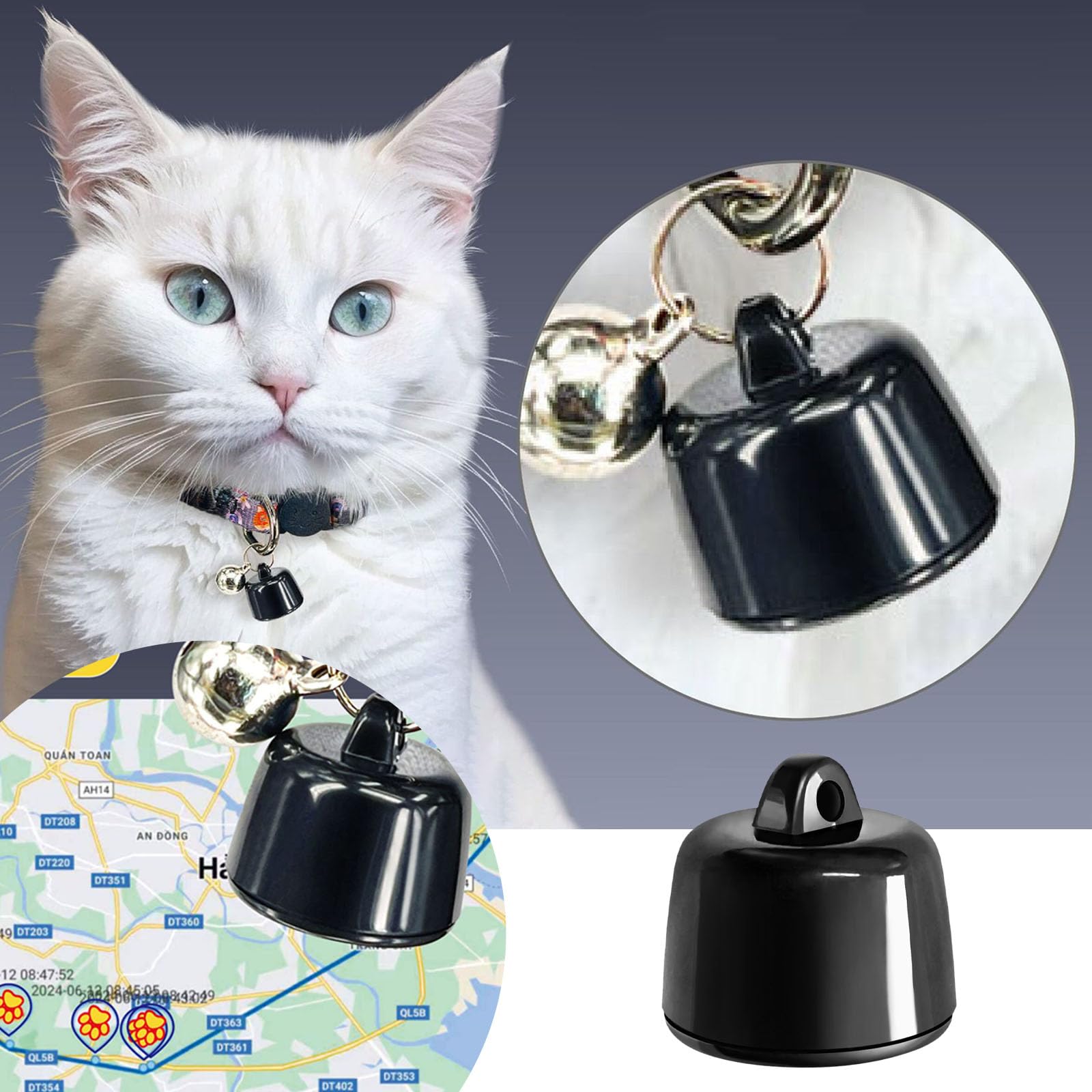 Mini Tracker per gatti e cuccioli di animali domestici, compatibile con iOS e Android, dispositivo di localizzazione in tutto il mondo, impermeabile IP67, adatto per ogni collare (5 pezzi)