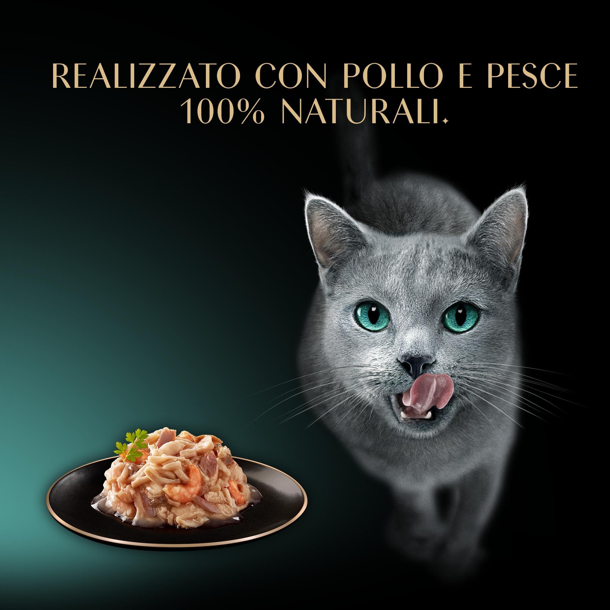 Cibo gatti adulti SHEBA Filets Pollo, Pesce Oceano, Gamberetti salsa, 32 Vaschette da 60g