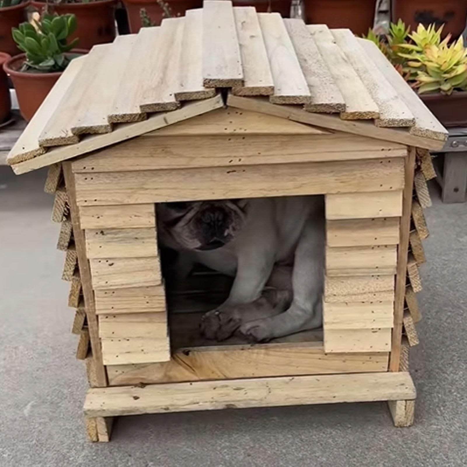 Pollaio in Legno Da Esterno Gabbia for Anatre Con Tetto Casetta Galline Porta Apribile Utilizzabile Sia All'interno Che All'esterno for Piccoli Animali, Conigli(30 * 30 * 43cm)