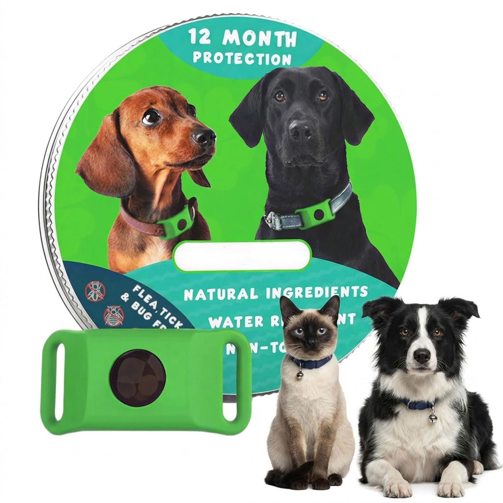 Evacare Flohfrei Anhänger für Hunde - 12 Monate Langzeit Frische-Effekt & Natürlich Wohlbefinden | Sicherer Klickverschluss für Welpen, Mittlere & Große Hunde (Grün,1PCS)