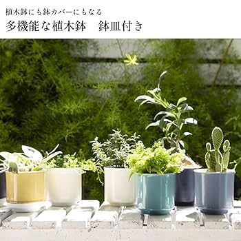 本焼き植木鉢　KATUDANSO 伝市窯・足付植木鉢5号(穴窯焼) | t.roots