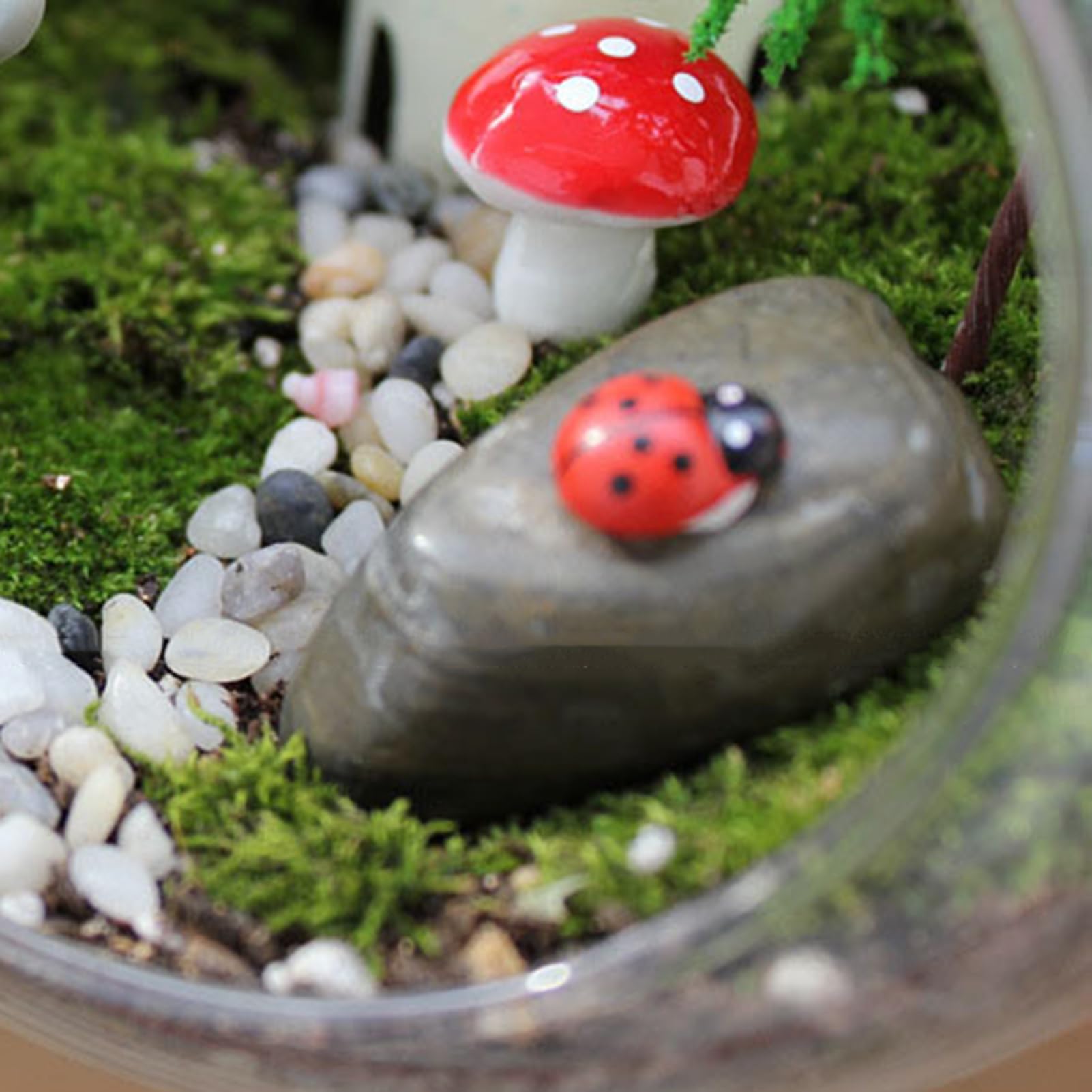 Terrarium de en Verre,Terrarium de,Récipient de Terrarium en Verre Rond | Pot de Fleurs pour, conteneur de à Air, pièce maîtresse d'affichage de décoration de Maison en Verre pour Miniature succulen