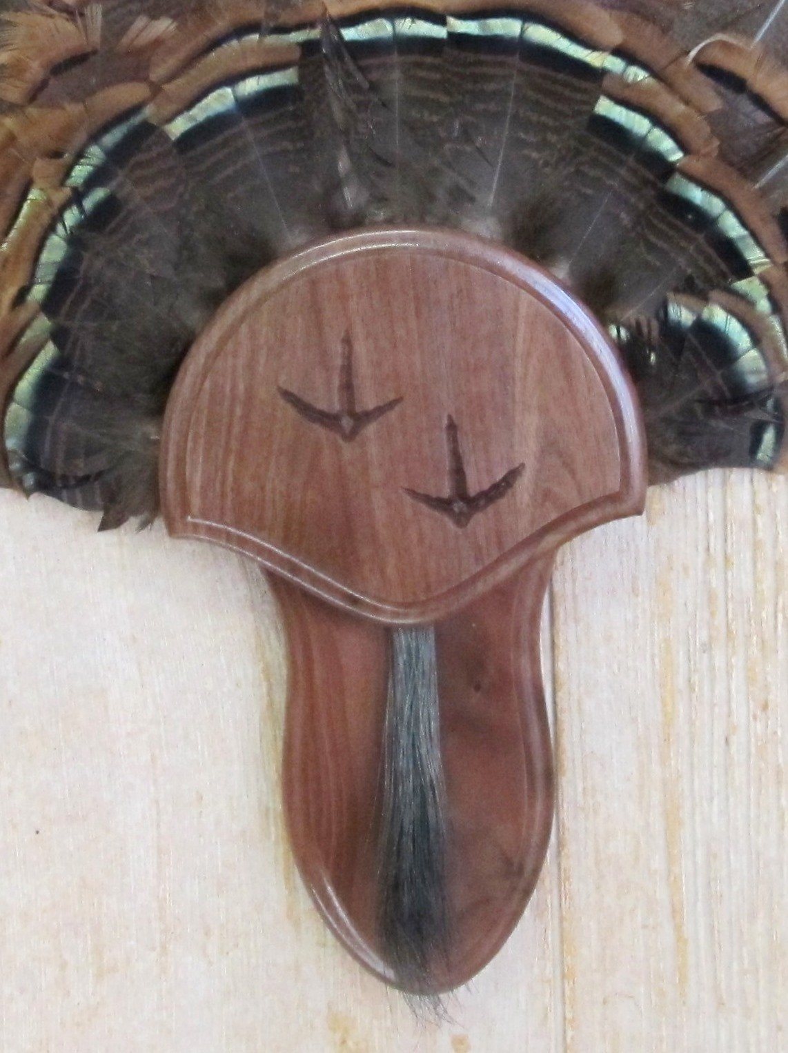 Taxidermists Woodshop The Black Walnut Carved Turkey Mounting Kit with Beard Plate -02