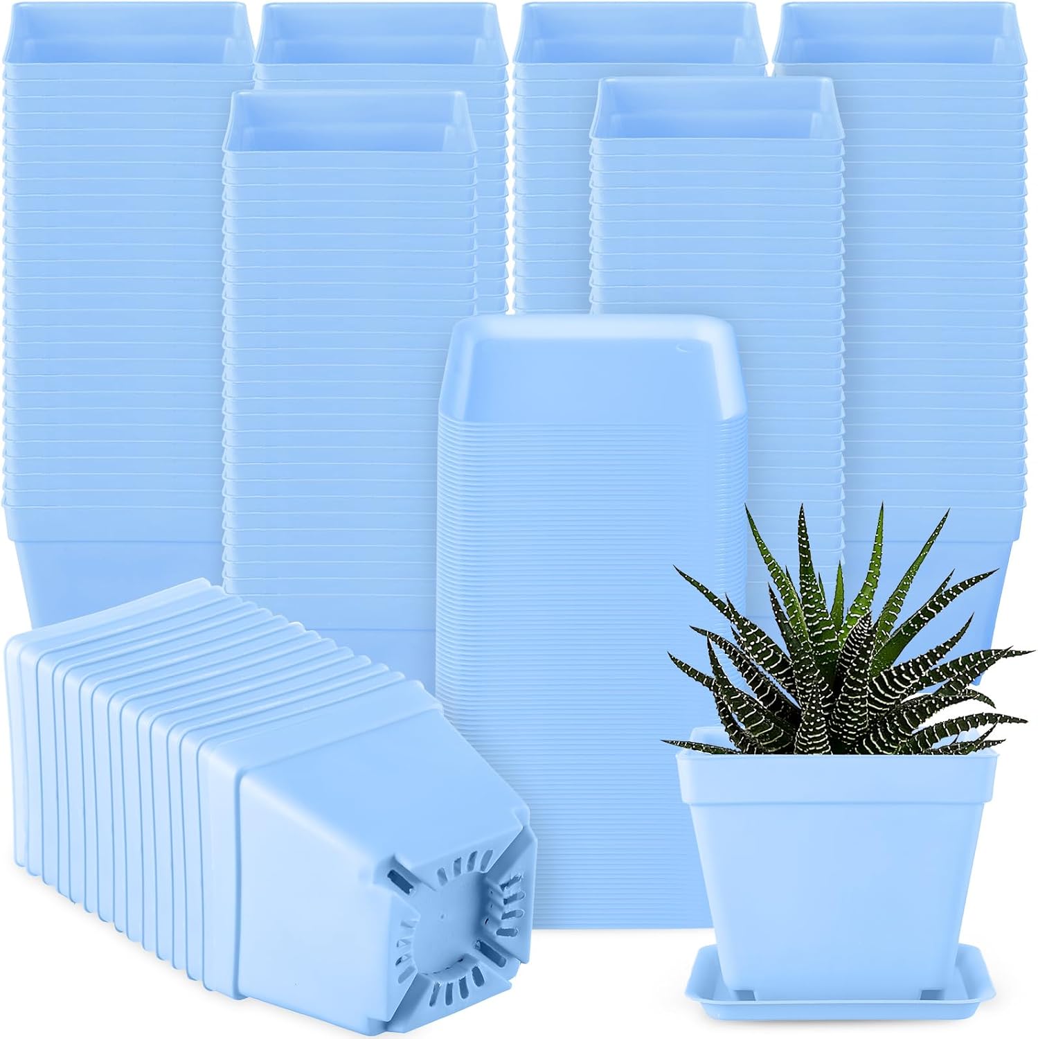 Amyhill 100 Pcs 4 Inch Flower Pots Square Plants Nursery Pot Plastic Plant Seedling Pots Small Nursery Transplanting Planter Container with Saucer for Indoor Succulent Balcony Garden (Blue)