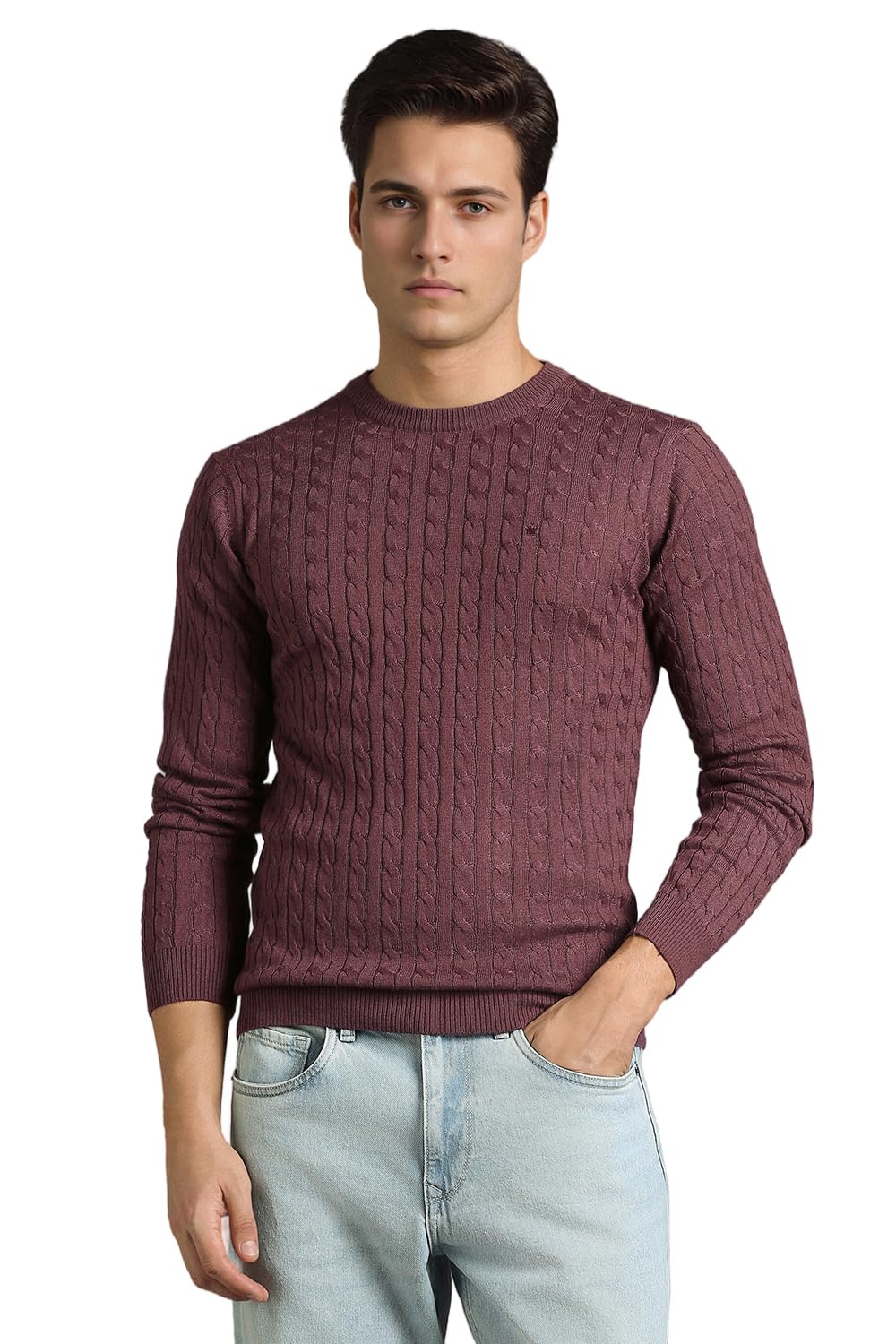 louis philippe Men Sweater-picture-53