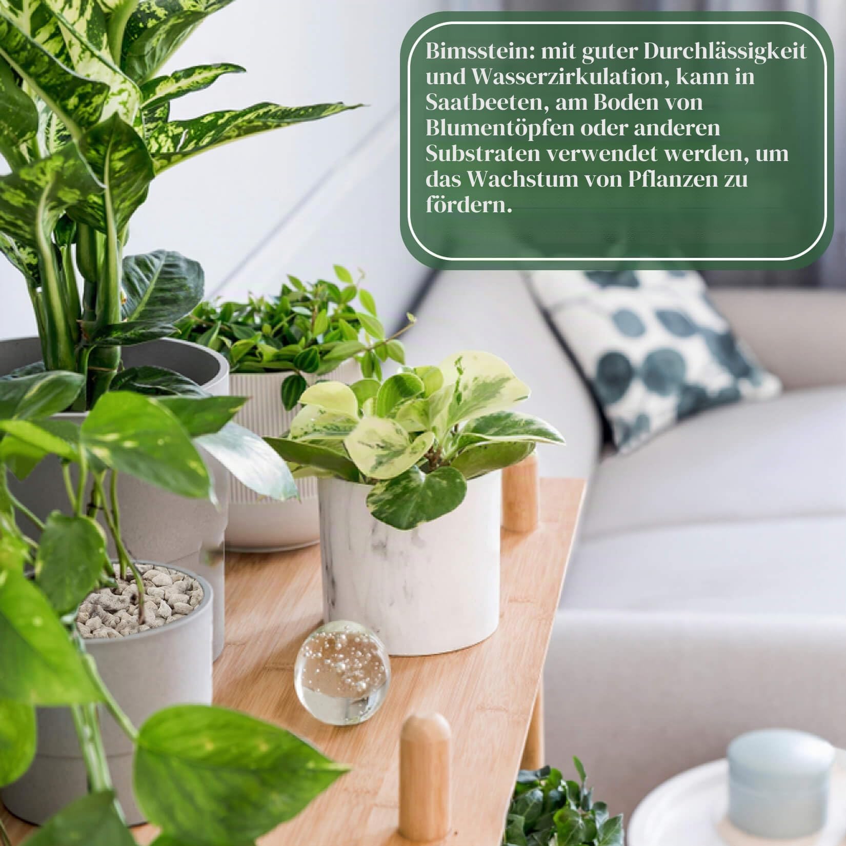 Sukh Grauer Bimsstein – Bimsstein für Pflanzen, Sukkulenten, Kakteen, Bonsai, Orchideen, Bodenverbesserungsmittel, 410 g