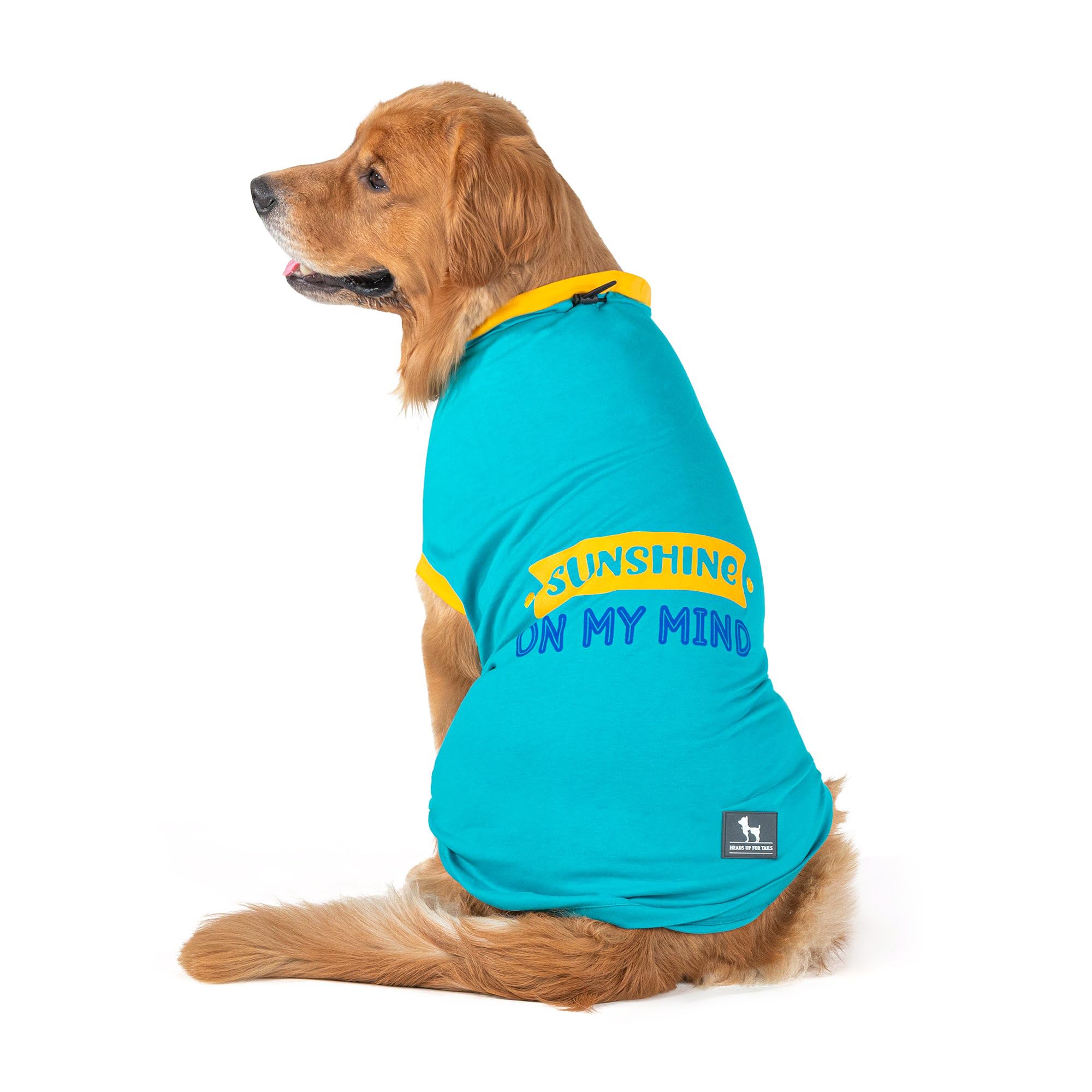 HUFT Sunshine On My Mind T-Shirts for Pets - Light Blue - XL (B0D4D56GBF) Amazon Price History, Amazon Price Tracker