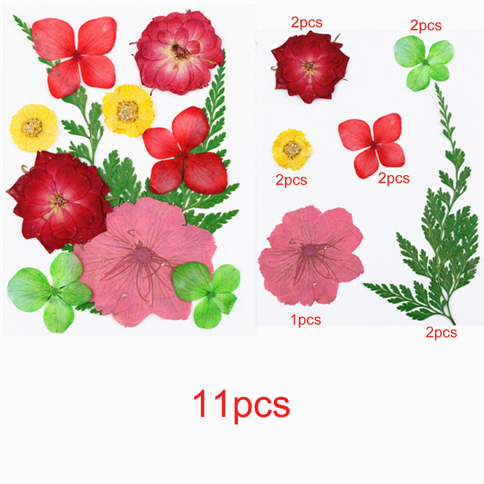 Cayway 82 PCS Natural Dried Pressed Flowers Leaves Glitter And Accessories Kit With Tweezers, Scissors For DIY Candle Resin Jewelry Nail Pendant Crafts Art Floral Decoration