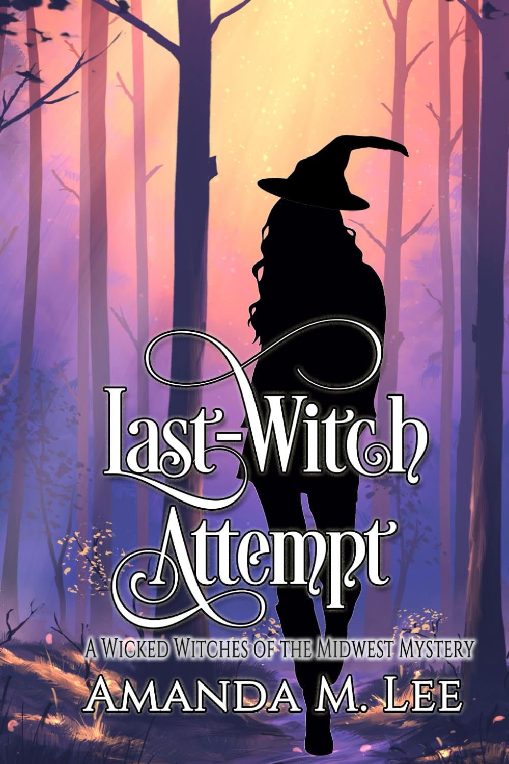 Last Witch Attempt (Wicked Witches of the Midwest)