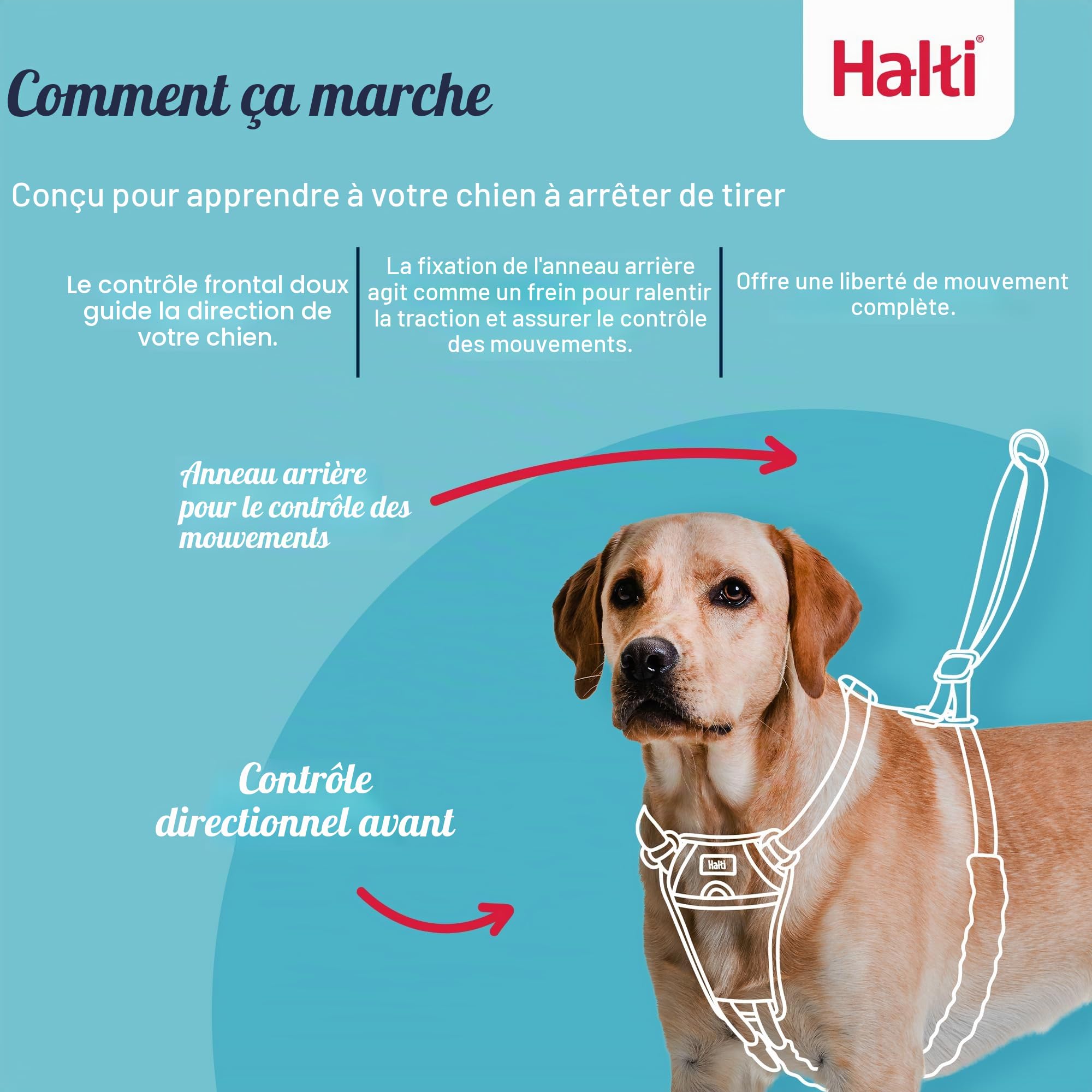 HALTI Harnais anti-traction Taille M & HALTI Laisse d'entraînement Taille L Noir Pack combiné – Empêche votre chien de tirer sur la laisse. Réglable, léger et facile à utiliser. Convient aux chiens de