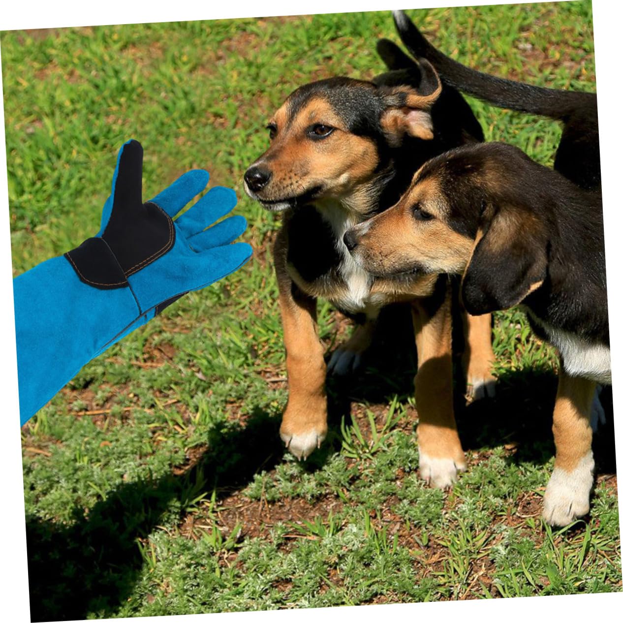 Leder Schweißhandschuhe Ärmel Hund Katze Pflege Handschuhe