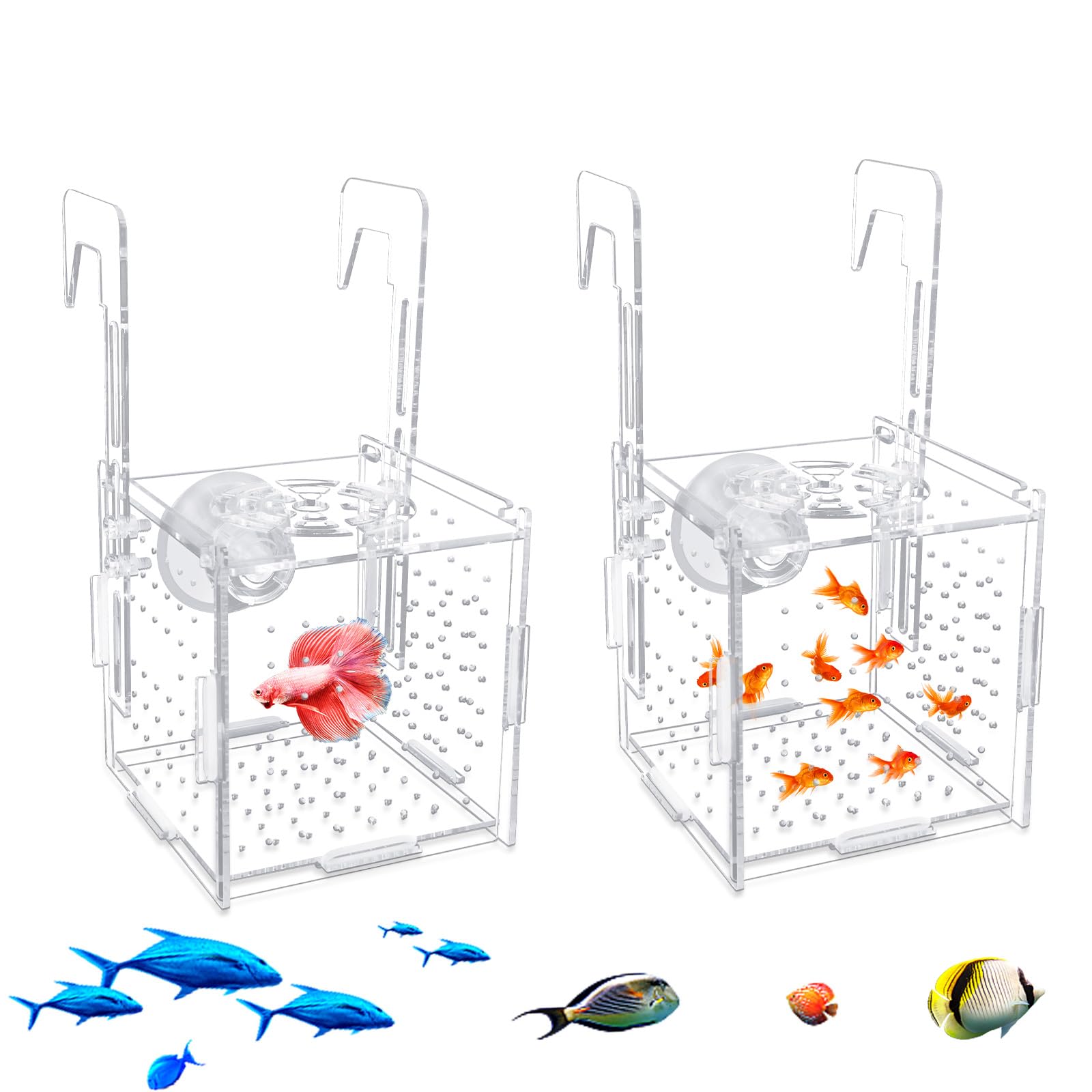 2 Sets Acrylic Breeder Box for Fish Tank, Ventilated Fish Isolation Box with Adjustable Hooks and Suction Cups, Aquarium Accessories for Baby Fishes, Shrimps and Guppies