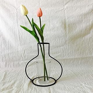 TAOJIN Vasi da Fiori minimalisti da Tavolo idroponici, Vaso in Ferro Moderno Nordico, Porta Piante, Vaso da Fiori in Ferro retrò, Porta Piante(B)