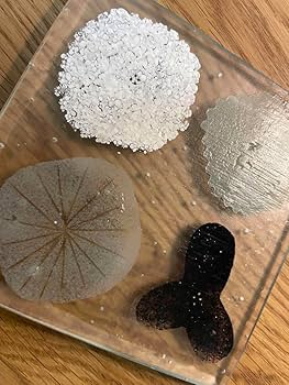 Amazon.co.jp: 八木麻子 ガラスプレート 池谷三奈美 黒川登紀子