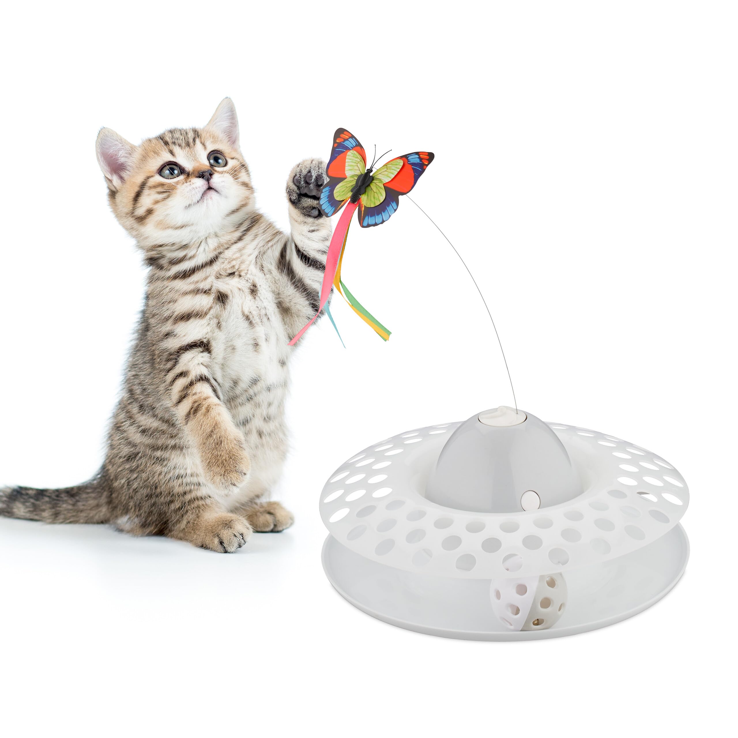 Jouet pour chat papillon rotatif pour occuper votre animal en appartement