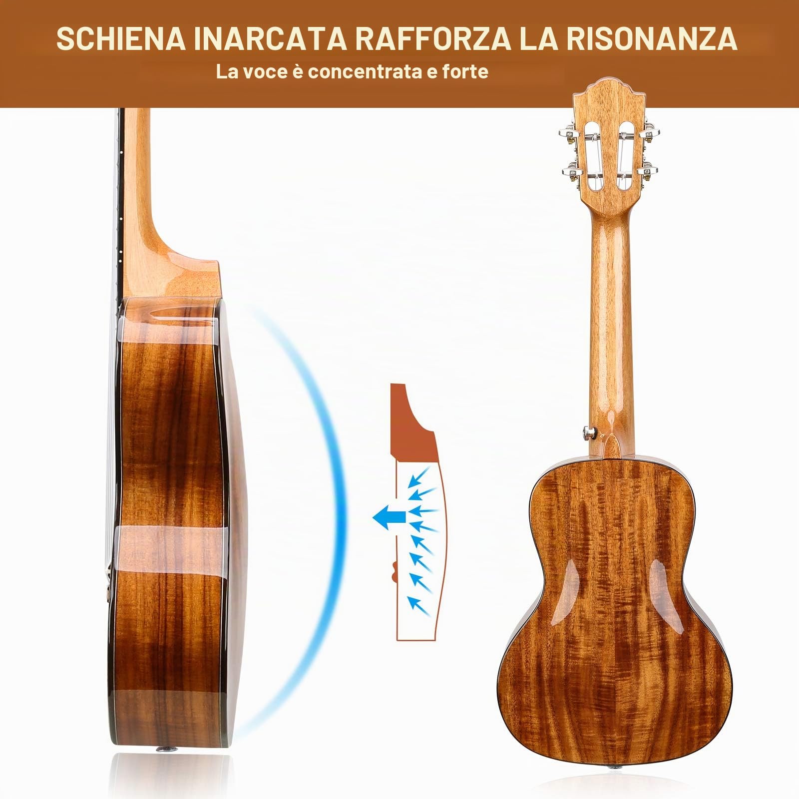 23" Ukulele da concerto professionale per principianti adulti (23 polici Acacia)