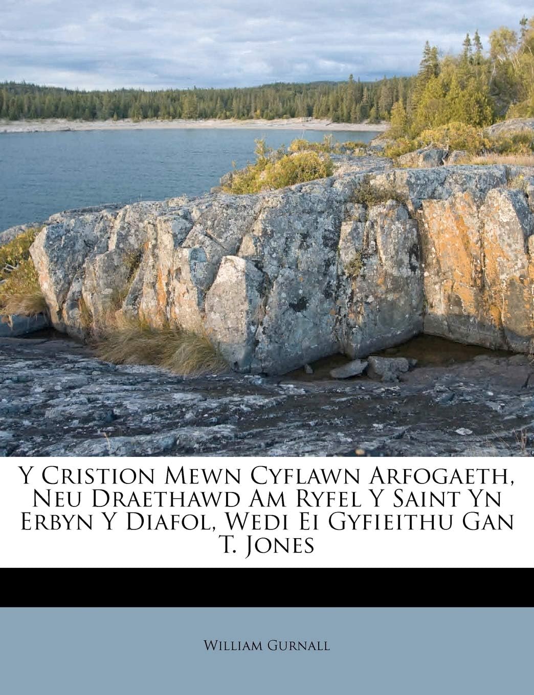 Y Cristion Mewn Cyflawn Arfogaeth, Neu Draethawd Am Ryfel Y Saint Yn Erbyn Y Diafol, Wedi Ei Gyfieithu Gan T. Jones