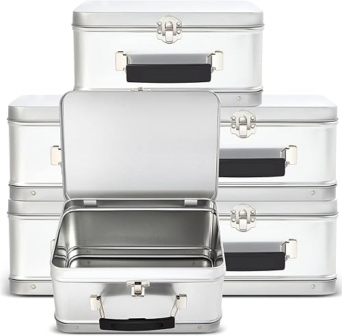 Rtteri Paquete de 6 loncheras de lata retro de 8 x 6 x 4 pulgadas con tapas con bisagras, caja grande para almacenamiento, diseño en blanco, Plateado