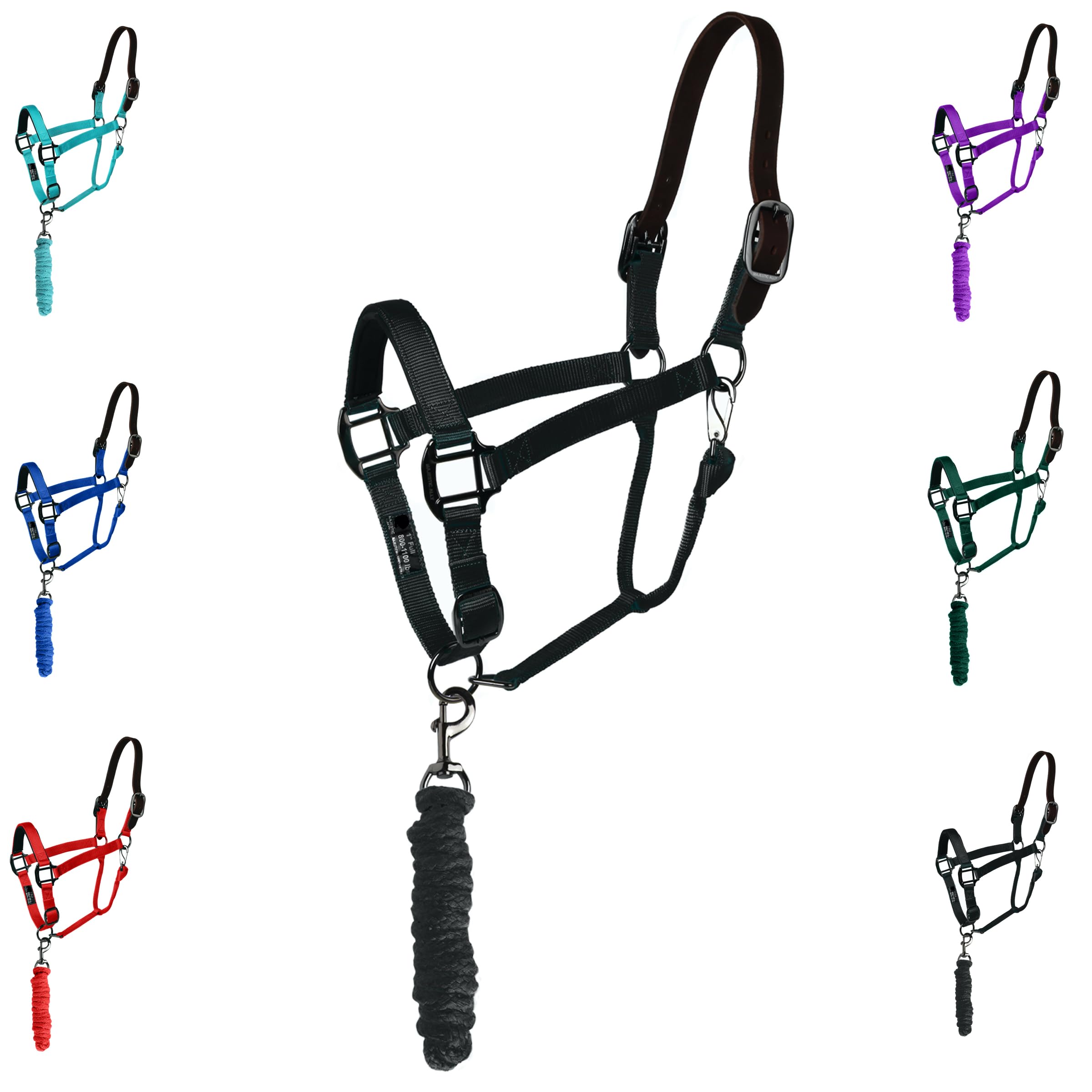 Majestic Ally Leather Halter with Matching Lead Rope for Horses – Leather Breakaway Crown - Adjustable Chin Strap – Rolled Throat Latch – Padded Noseband – Full (Black, Pony)