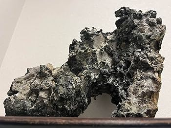 Amazon.co.jp: 大型揖斐石 揖斐川 龍眼石 竜眼石 竜岩石 龍岩石 立ち石