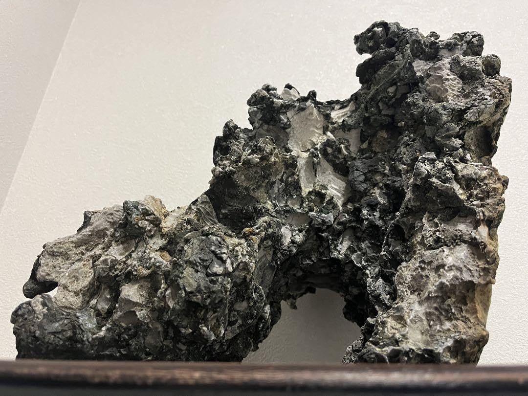 Amazon.co.jp: 大型揖斐石 揖斐川 龍眼石 竜眼石 竜岩石 龍岩石 立ち石