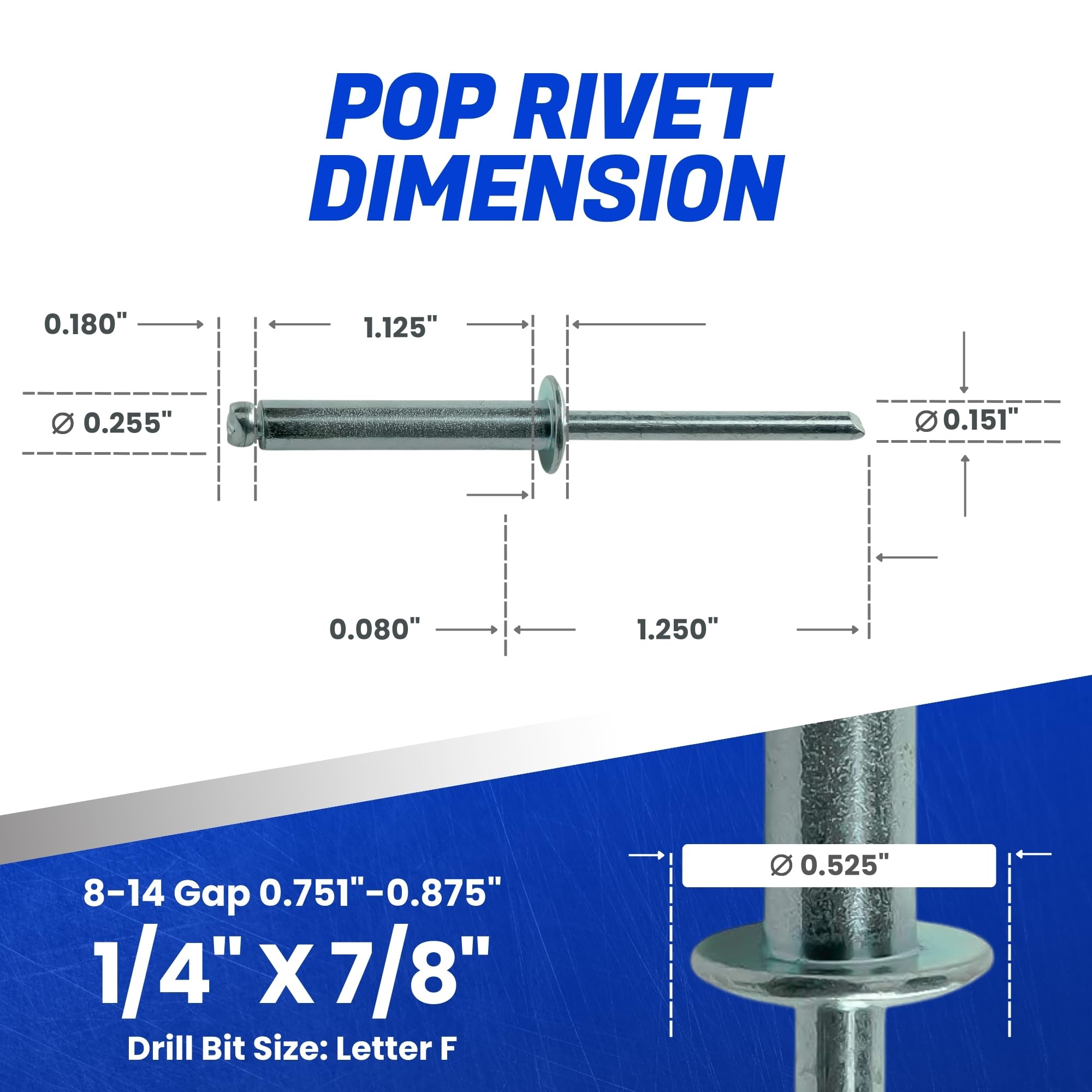Amazon.com: Fastenere Pop Rivets - 1/4