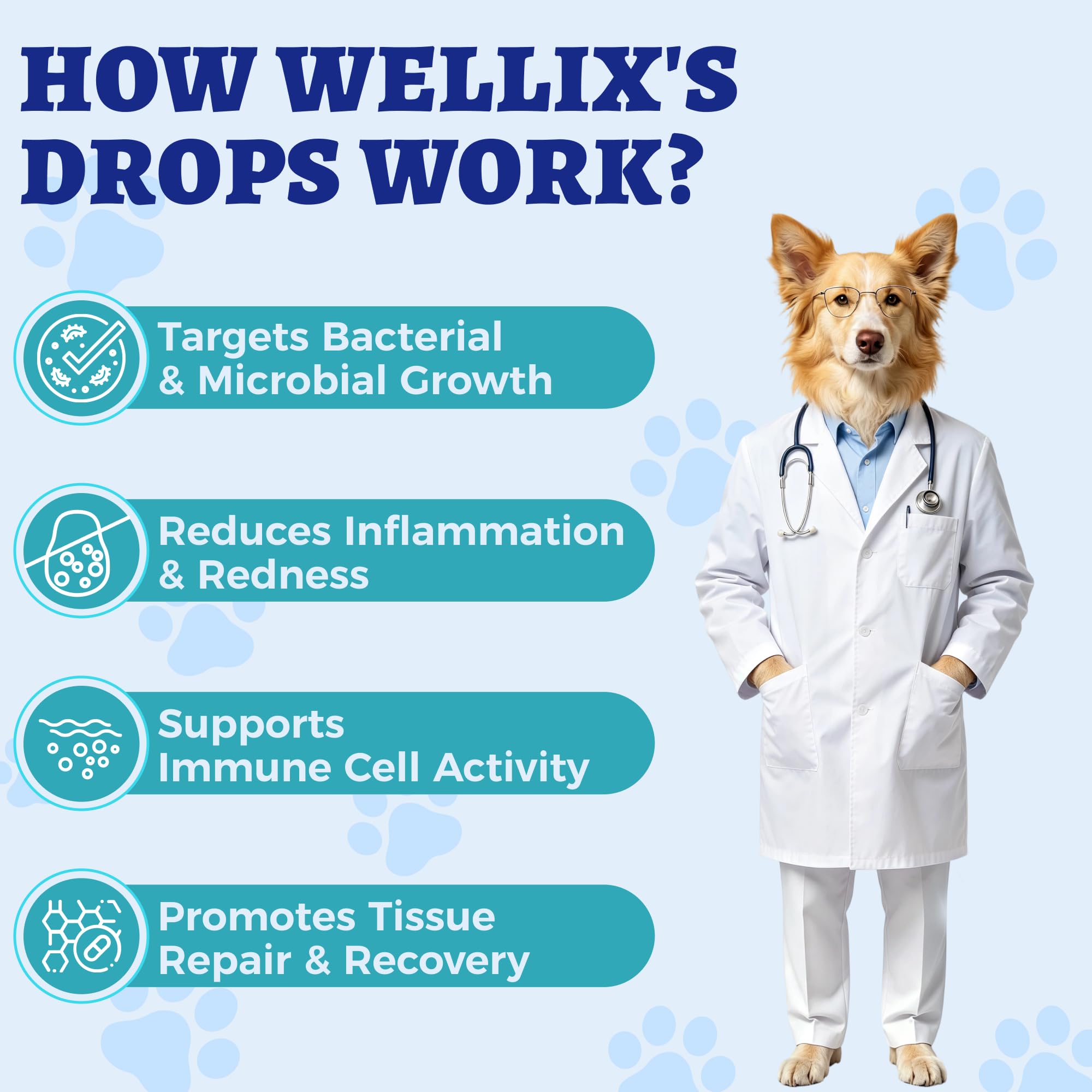 Wellix 120ml Natural Antibiotics for Cats & Dogs, Wound Care & Cold Relief — Amazon image 5