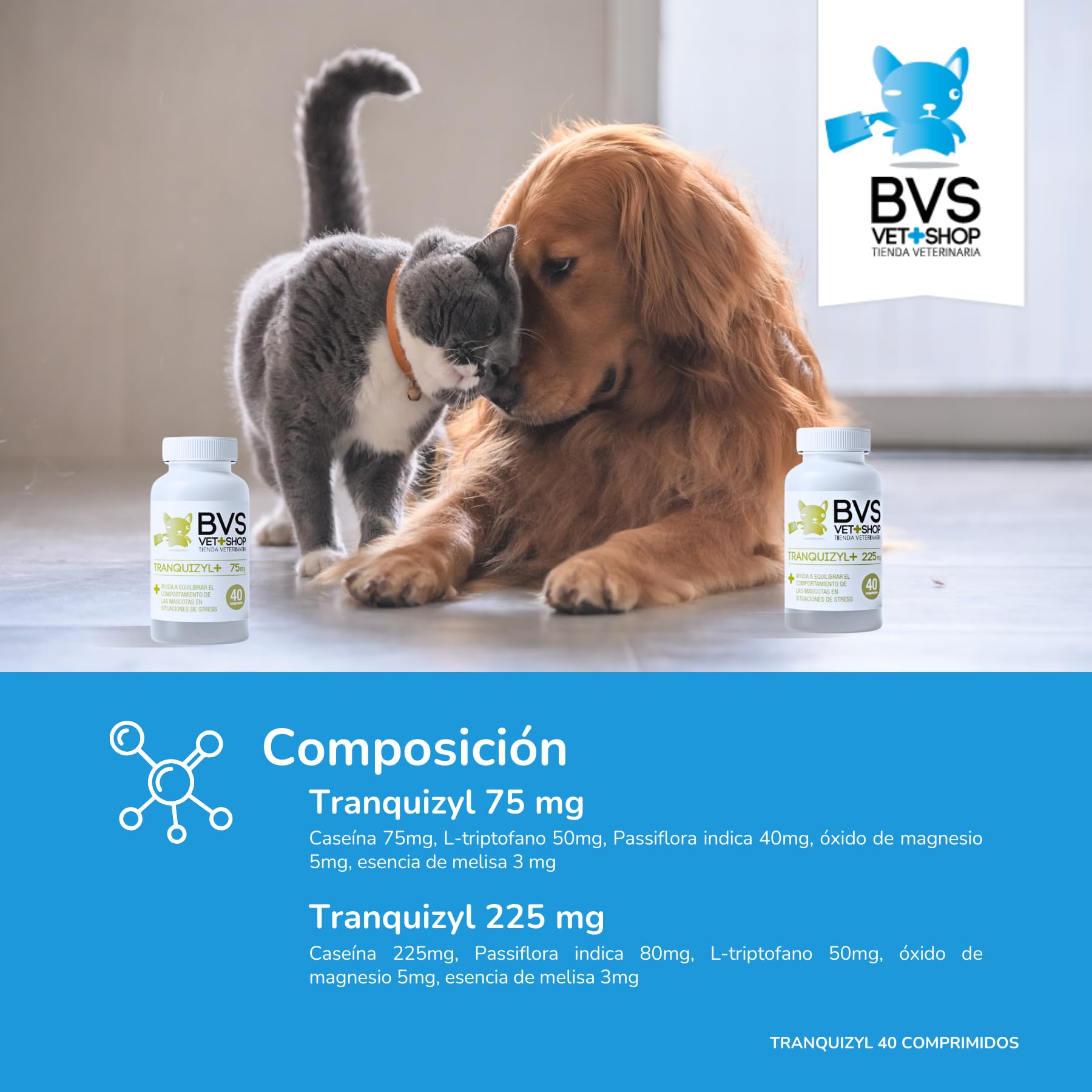BVS Vet Shop | Tranquizyl 40 comprimés pour Chiens | Complément idéal pour Aider Votre Animal à se détendre et à Rester Calme dans Les Situations stressantes | 225 MG