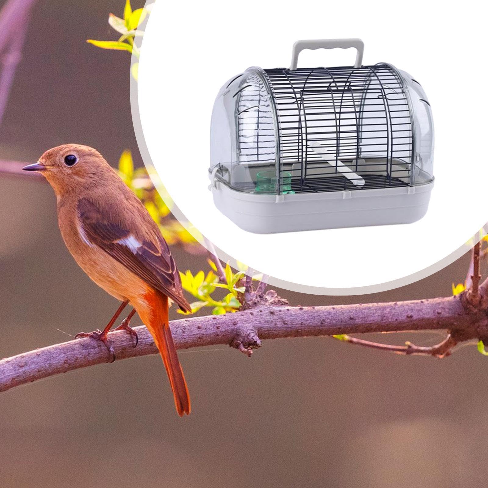 Fenteer Transportador de Aves para Loros Y Periquitos, Diseño Práctico, L Gray