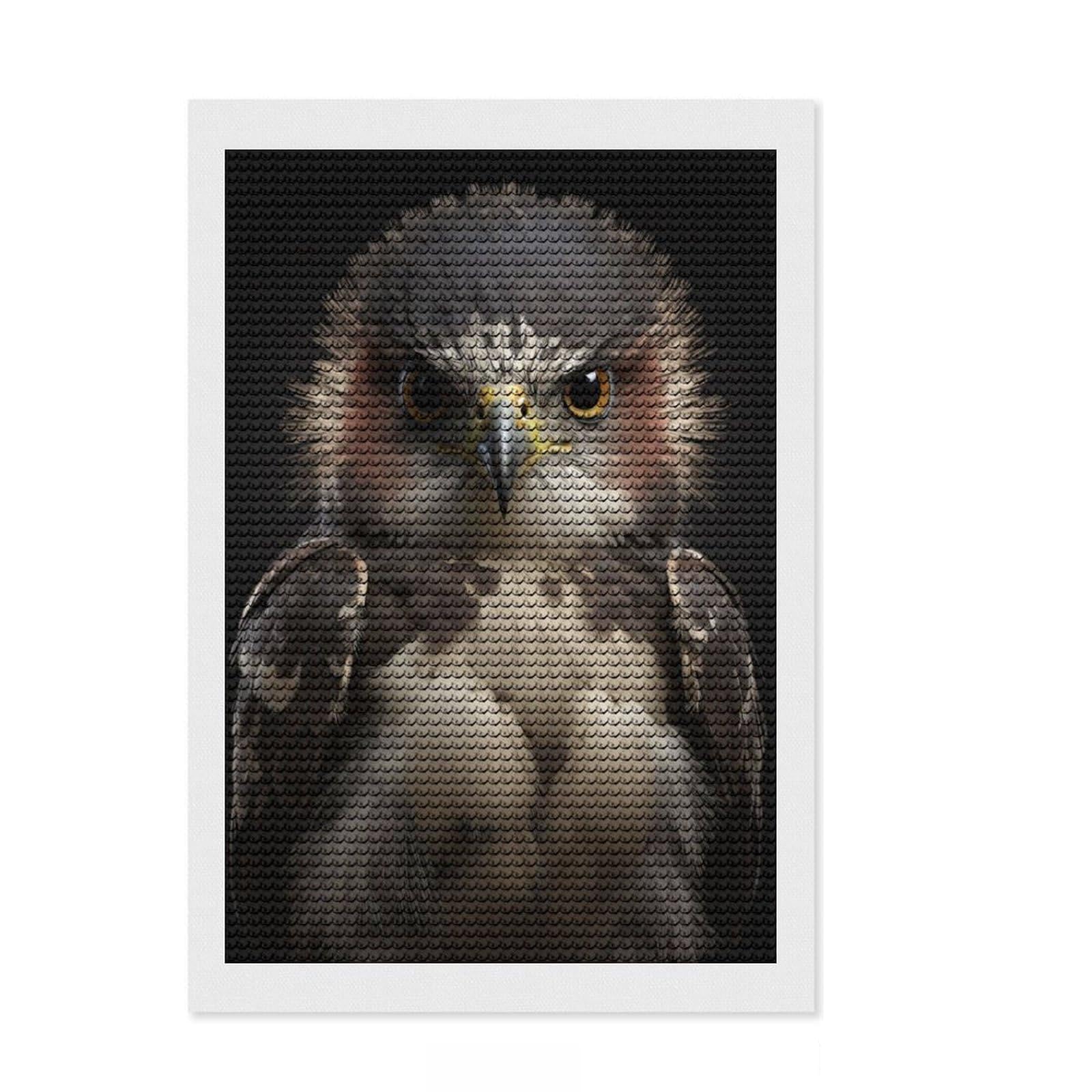 Junmoney Hawk Looking At The Camera Diamond Painting Set 8"x12", for Beginners, Neat Printed Canvas, Holiday Gift Idea, Farmhouse Decor, Printed Canvas