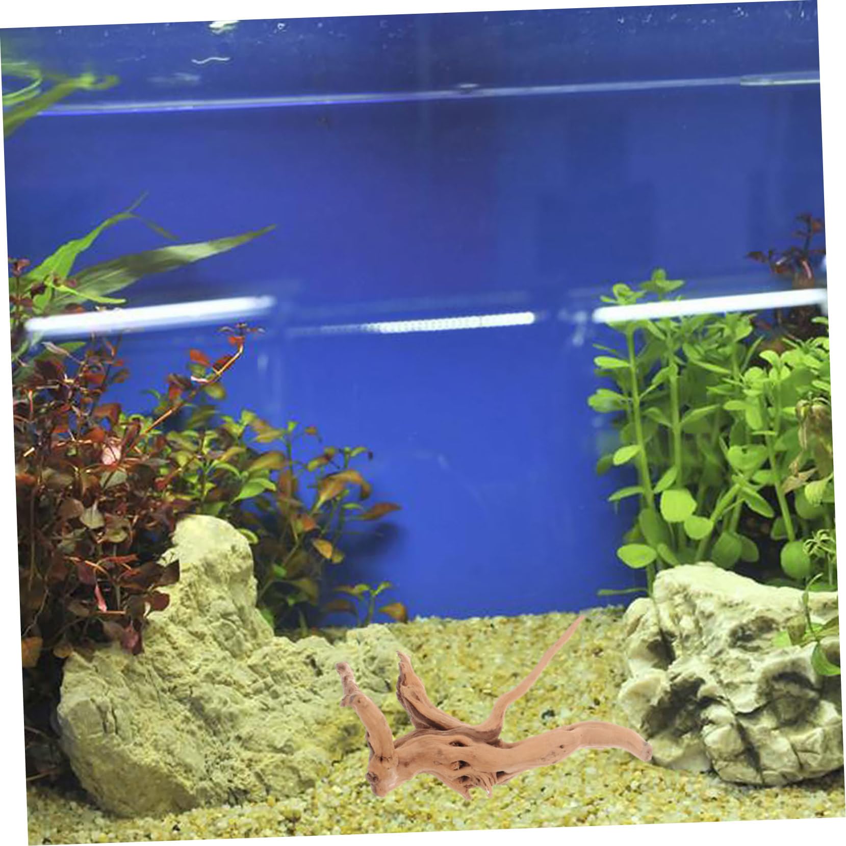 Luxshiny 3 Piezas Madera Flotante para Acuario Forma Realista, Fácil de Usar, Adorno Natural para Tanque de Reptiles y Mesa Varios Estilos