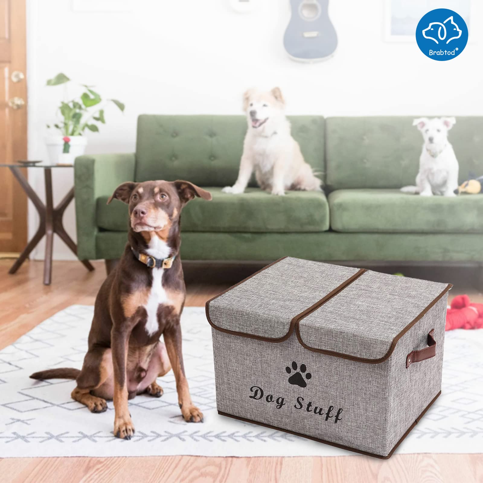 Cesta De Madera Con Percheros Para Mascotas - Organizador De Juguetes Y Ropa Para Perros, Diseño 2 En 1
