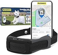 PetSafe Guardian GPS 2.0 Wireless Dog Fence with Real-Time Tracking - No Dig Custom GPS Boundaries, Waterproof Collar for Dogs 10lbs+