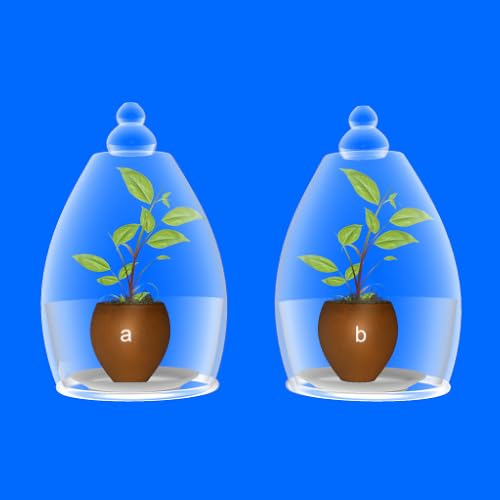 Carbon dioxide is essential for Photosynthesis