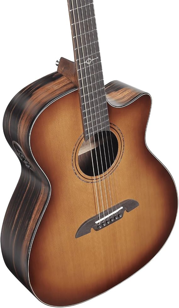 Alvarez AEG95ce Shadowburst Acoustic-electric Guitar - Shadowburst