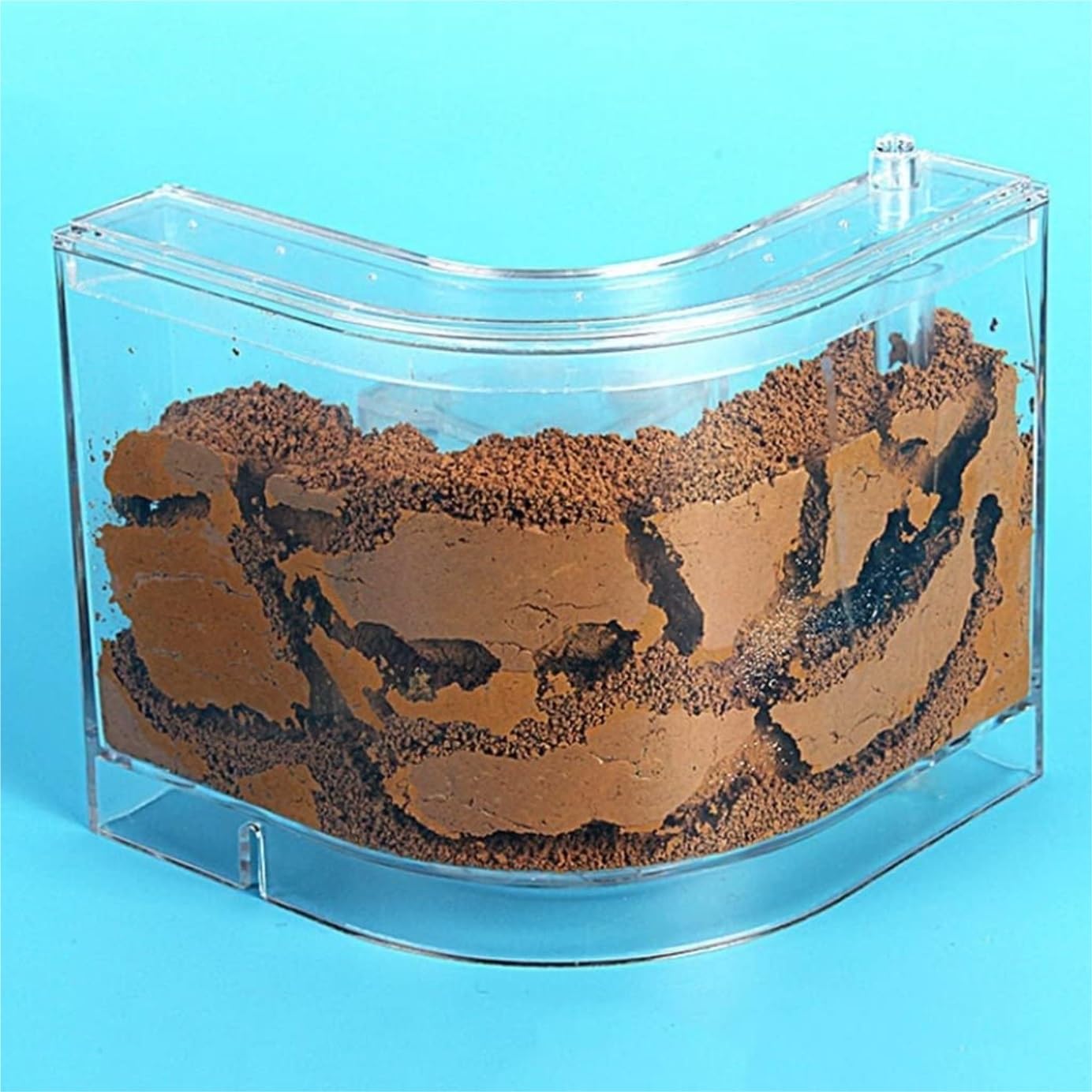 Ferme de Fourmis Nid de Fourmis Maison Château Rempli de Sable d'Argile Professionnel Ant Nest Habitat 1pcs