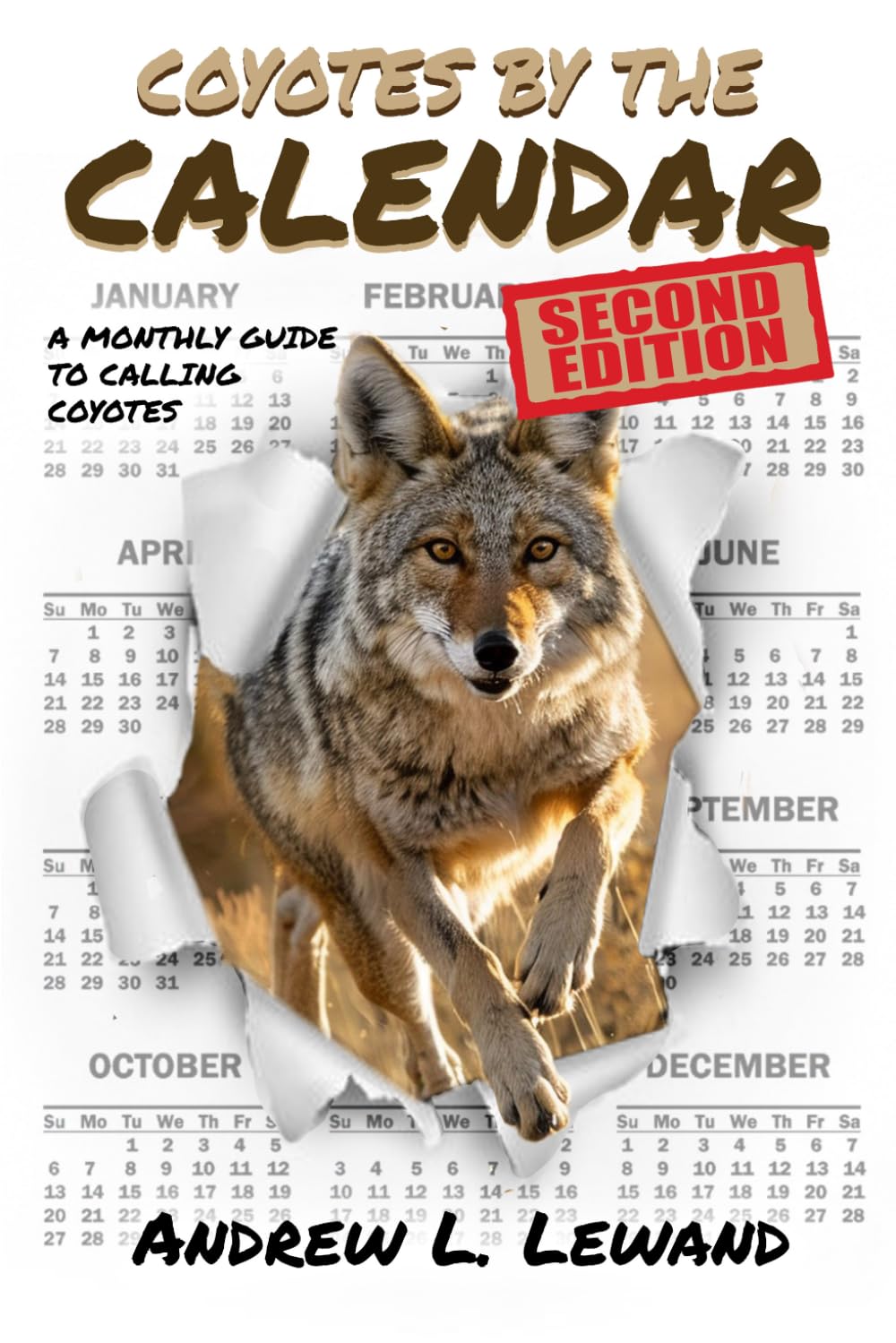 Coyotes by The Calendar: A Monthly Guide to Calling Coyotes