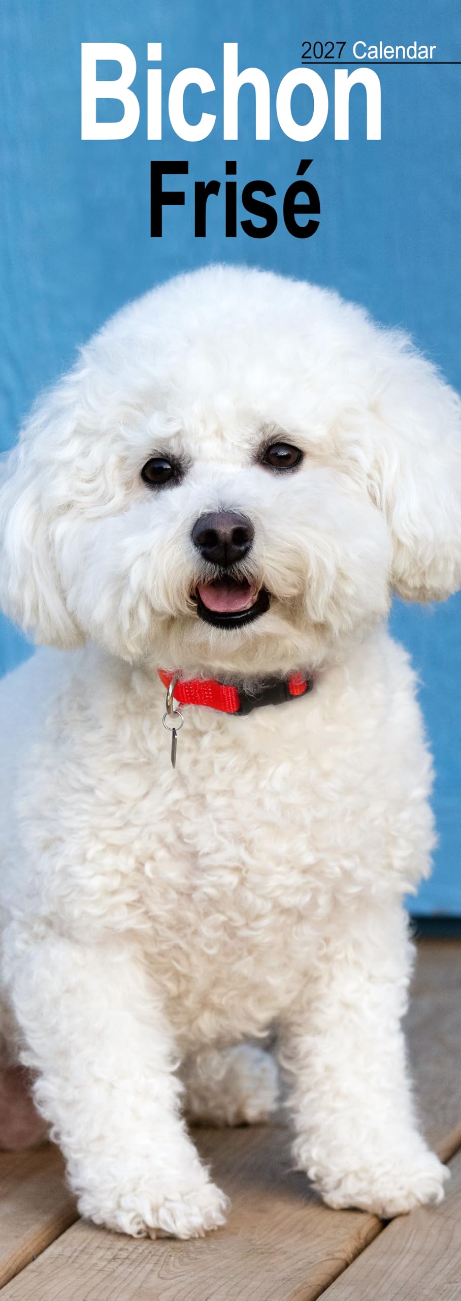 Bichon Frise Slim 2027 Calendar | Slimline Wall Calendar | Dog Breed Gift | Plastic Free Packaging | by Avonside Publishing