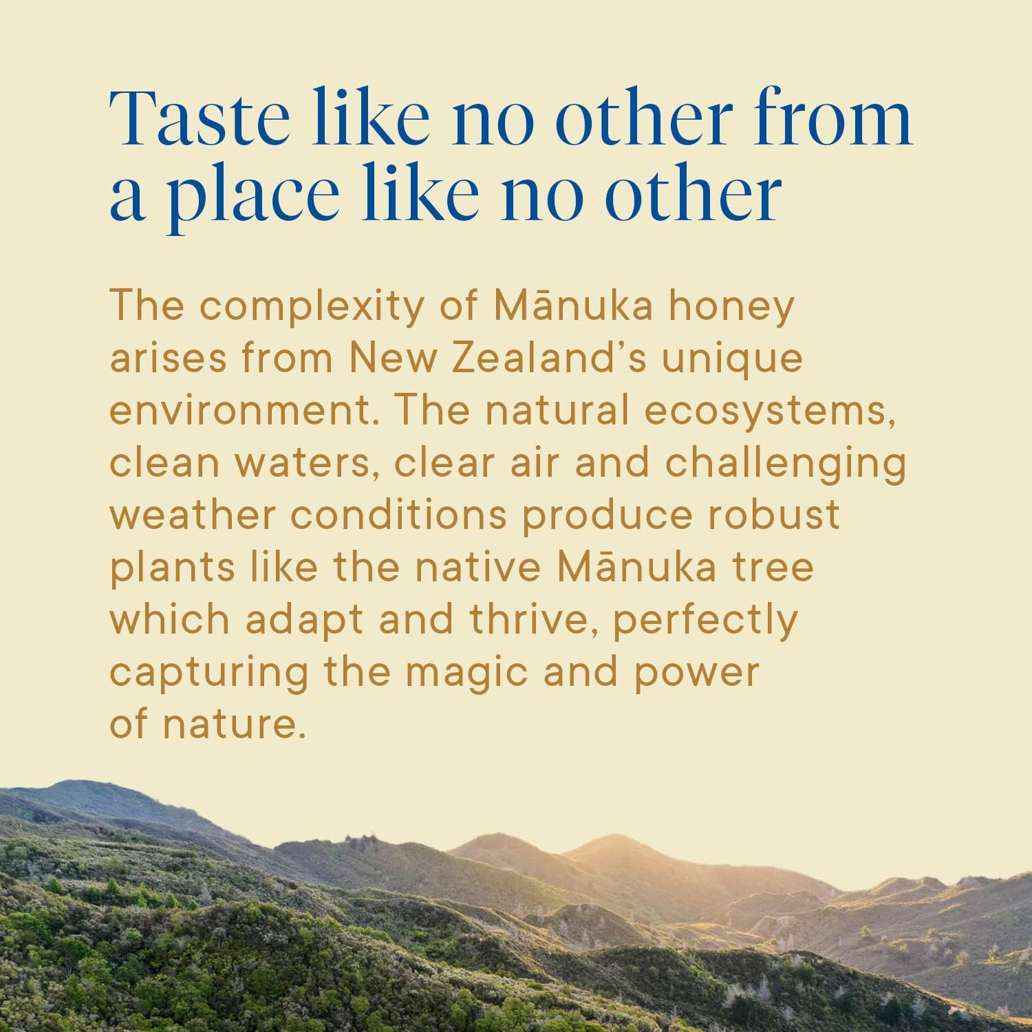 Manuka Health Bundle, UMF 13+/ MGO 400+ Manuka Honey (8.8oz Jar) and UMF 6+/MGO 115+ On-The-Go Packets (12 Count), Superfood, Authentic Raw Honey from New Zealand