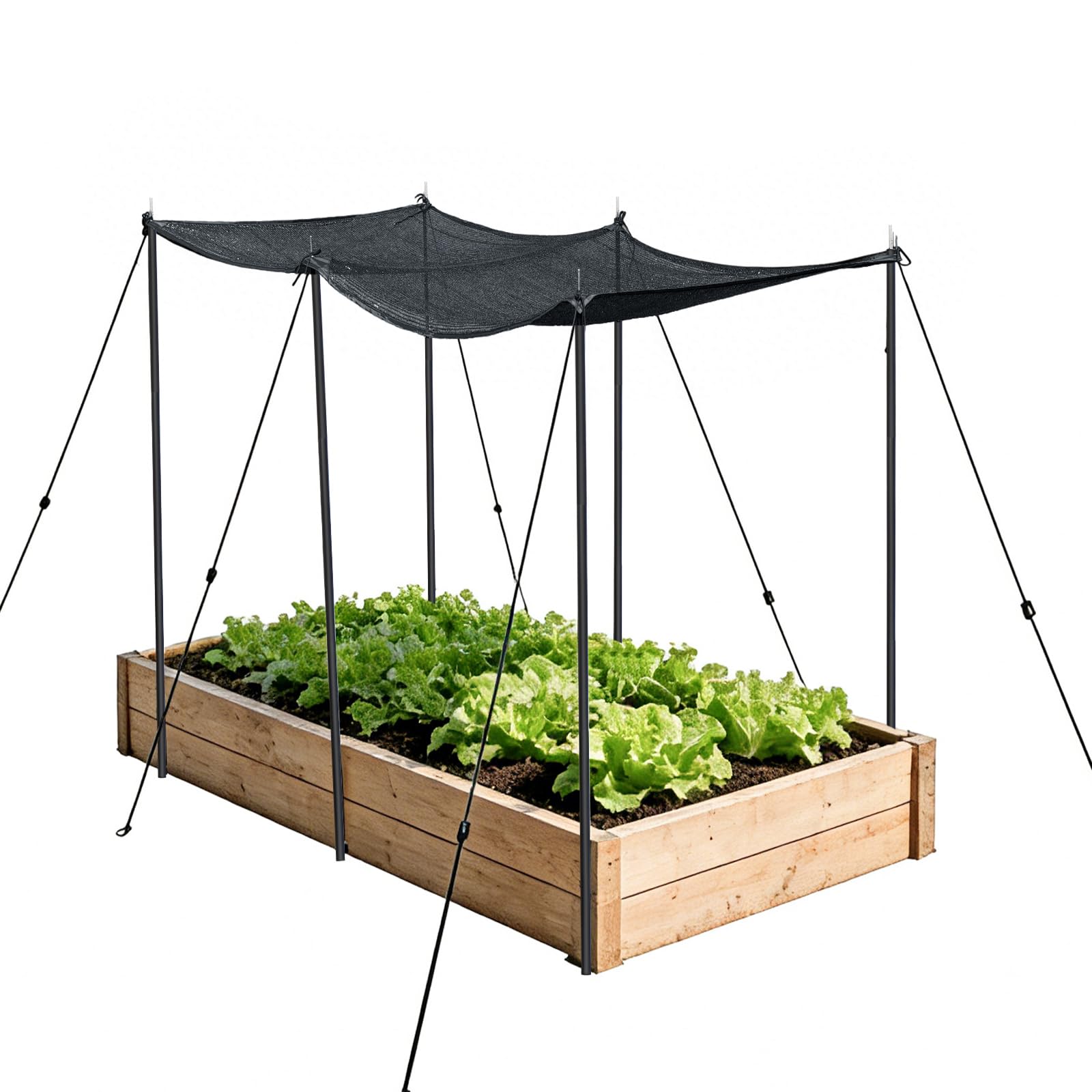 Garden Shade Canopy Kit 6.5x3.3