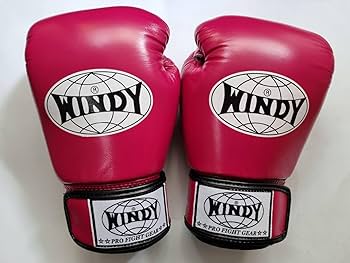 Amazon.co.jp: WINDY- BGVH Classic Genuine Leather ウィンディ Amazon.co.jp: WINDY- BGVH Classic Genuine Leather ウィンディ