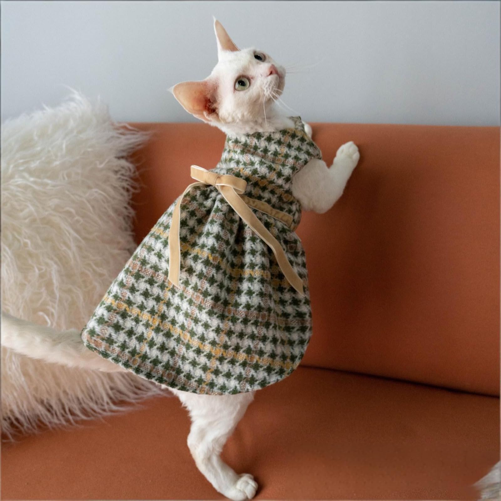OMEM Vestido de gato de pata de gallo con lazo, ropa de gato con forro de algodón suave para gatos sin pelo Sphynx, elegante traje de invierno para gatos pequeños a grandes, M a XXXL (XL+)