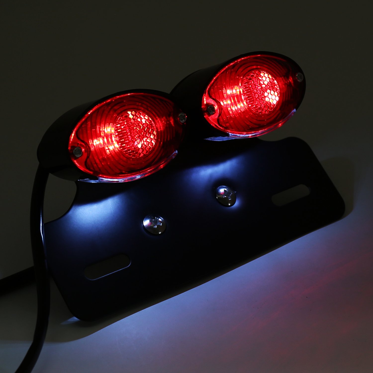 Amazon | nakira バイク用 テールランプ 2灯型 LED 汎用 テール