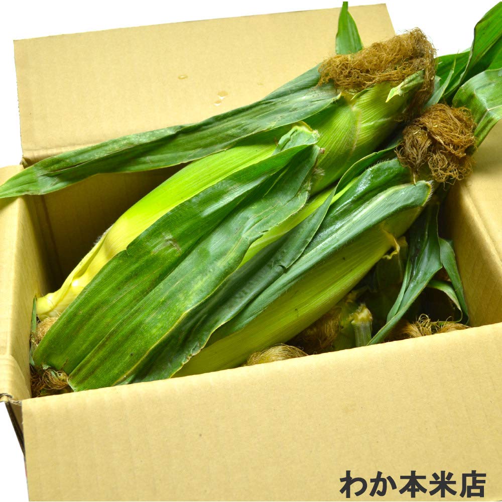 Amazon.co.jp: 12本入り 嶽きみ L-2L混合（だけきみ）青森県岩木山嶽
