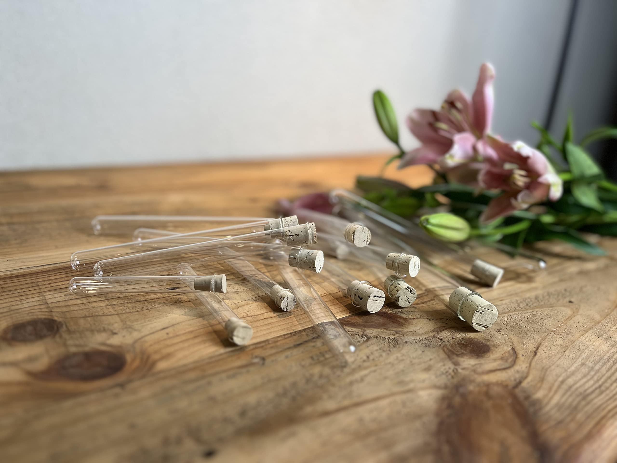 Reagenzgläser | Glasröhrchen | Laborglas | Reagenzglas für Laborbedarf, Medizintechnik und Chemie | mit Korken | Korkstopfen | Spitzkorken aus 100% Naturkork | 160 mm x 14 mm x 0,8 mm (100)