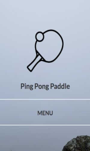 Ping Pong Paddle