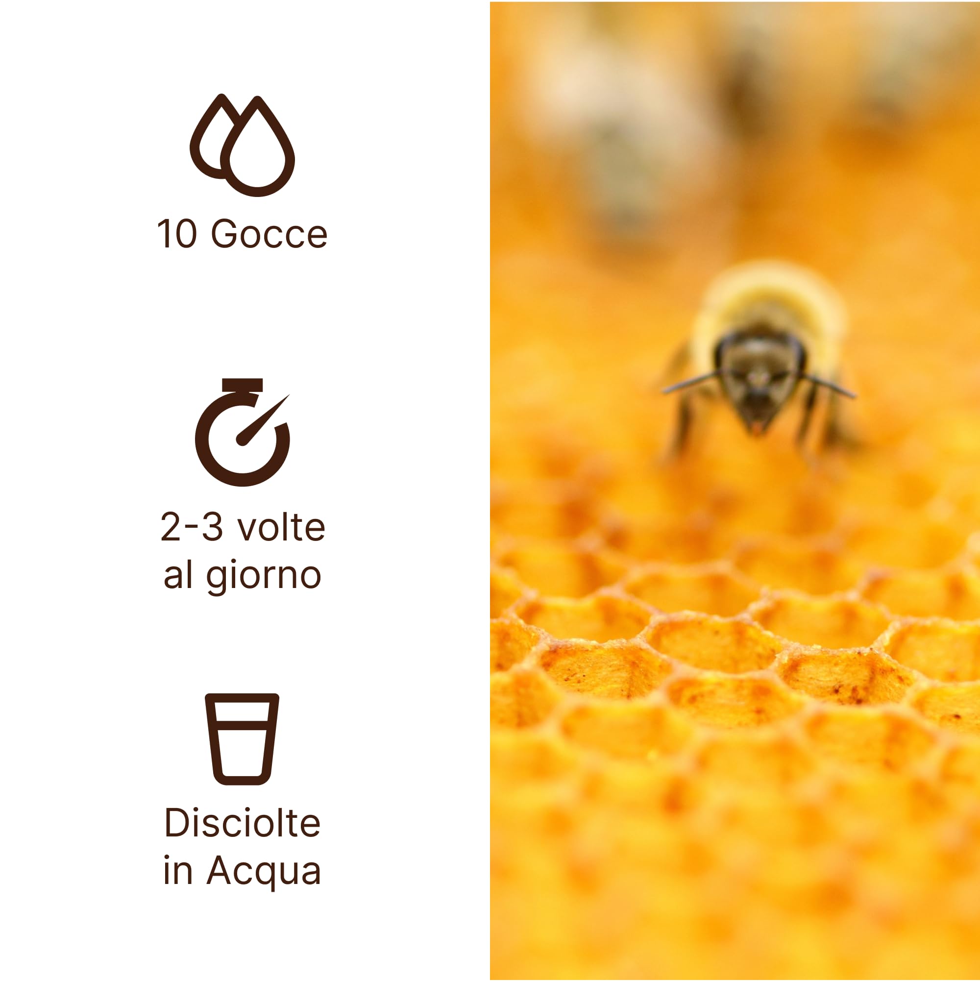 ALVEARIO - Propoli Junior Integratore Alimentare a base di propoli Biologica, adatto ai bambini, sollievo per mal di gola forte, tosse grassa, tosse secca e raffreddore 2 x 30 ml