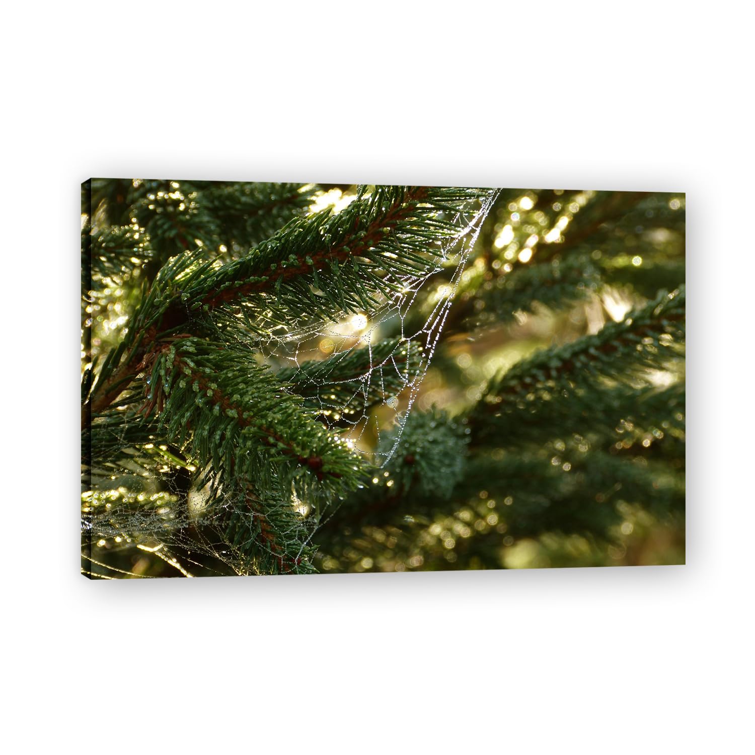 VHdfgTY PineMountain Landscape Canvas Wall Art Nature Scenery Wall Decor for Home 30x45cm Framed