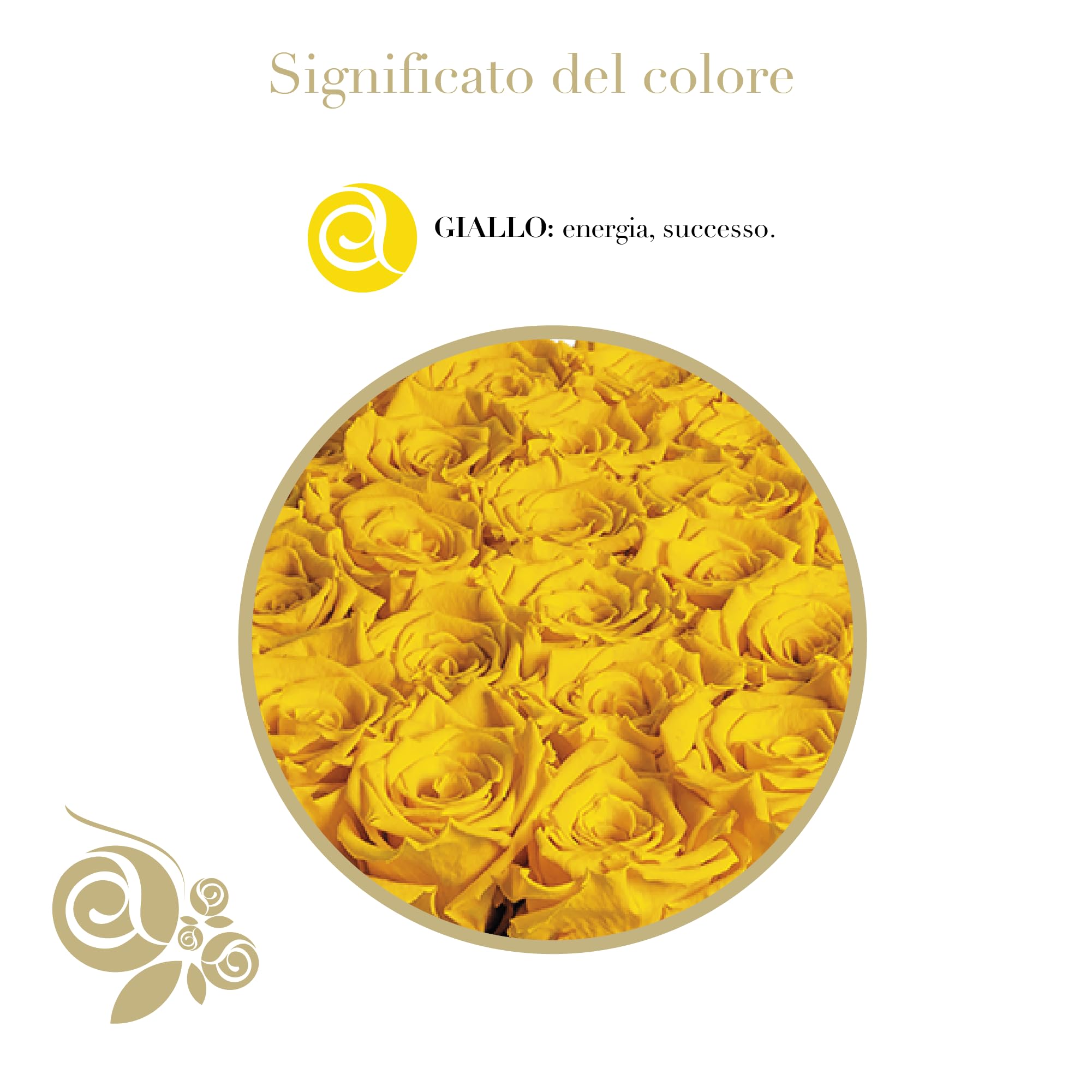 Aluisi Fiori - Rosa Stabilizzata con Gambo 80cm Gialla - Simbolo di Energia e Successo - Perfetta per Festa della Donna, Lauree e Compleanni